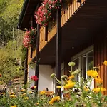 Apartamento Lorenz Triberg im Schwarzwald