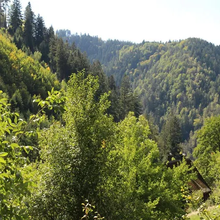 Lorenz * Triberg im Schwarzwald