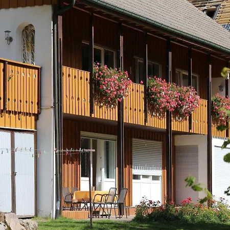 Apartamento Lorenz Triberg im Schwarzwald