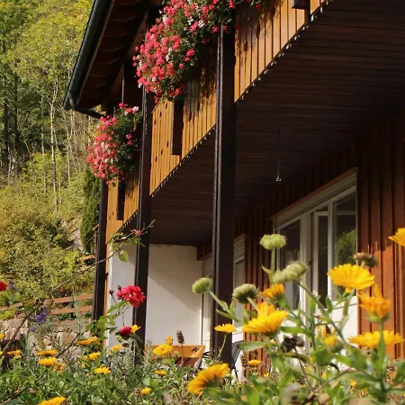 Lorenz * Triberg im Schwarzwald