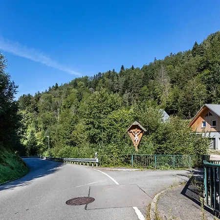 Apartamento Lorenz Triberg im Schwarzwald