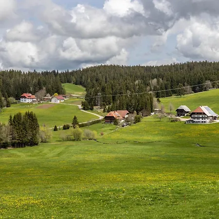 Lorenz تيبرغ