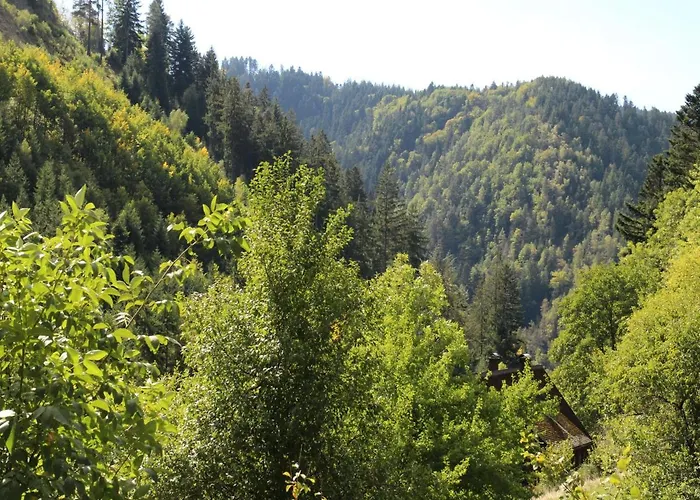 Lorenz * トリベルク