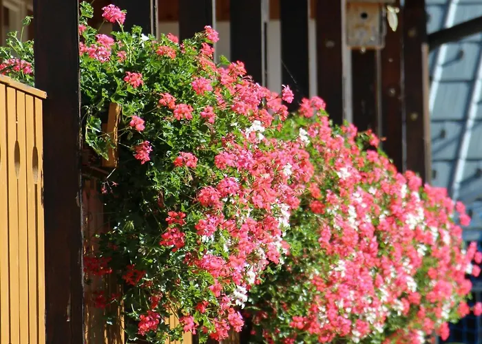 Lorenz トリベルク